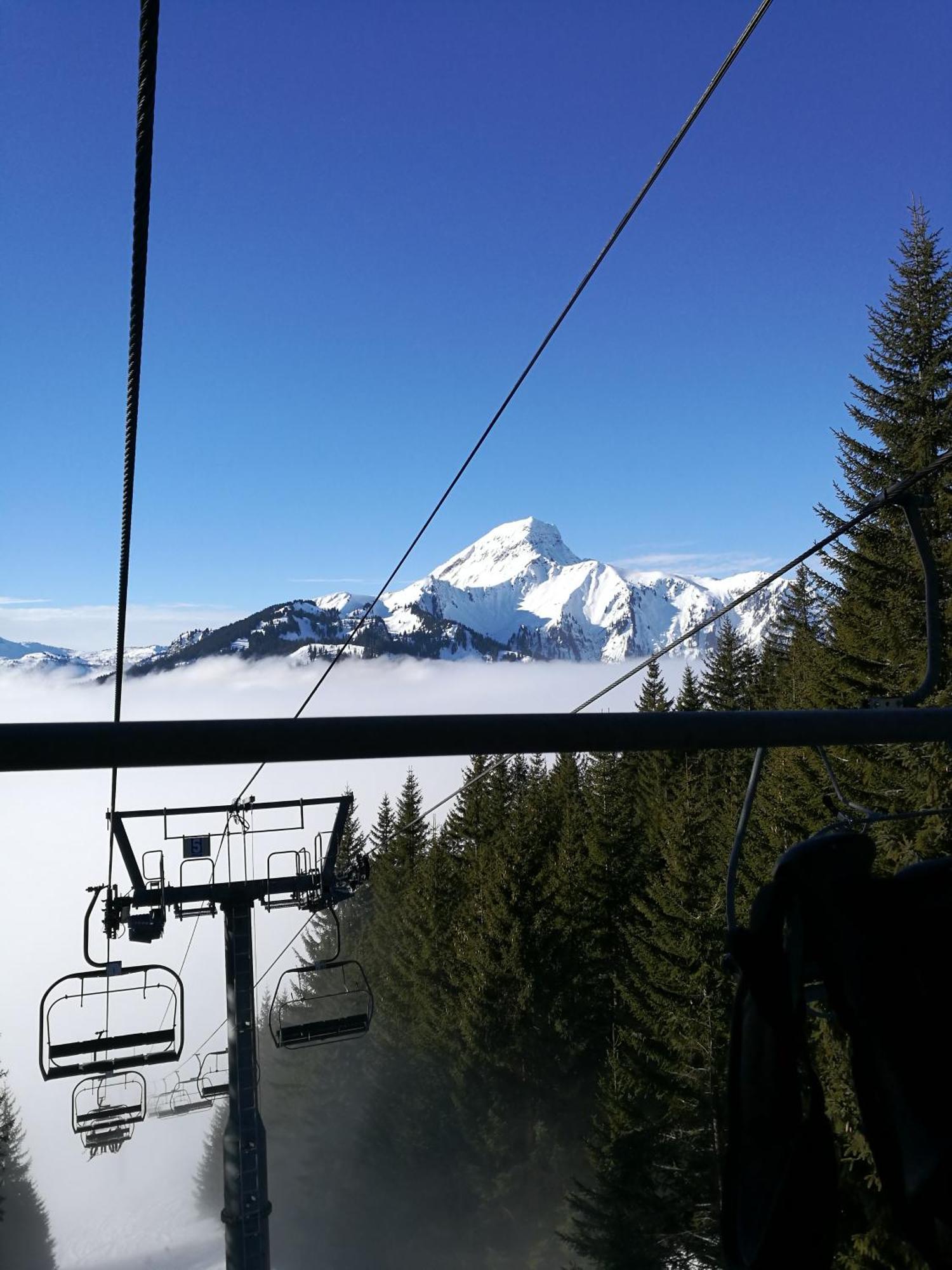 Le Roitelet 2*