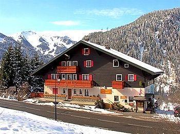 Le Roitelet