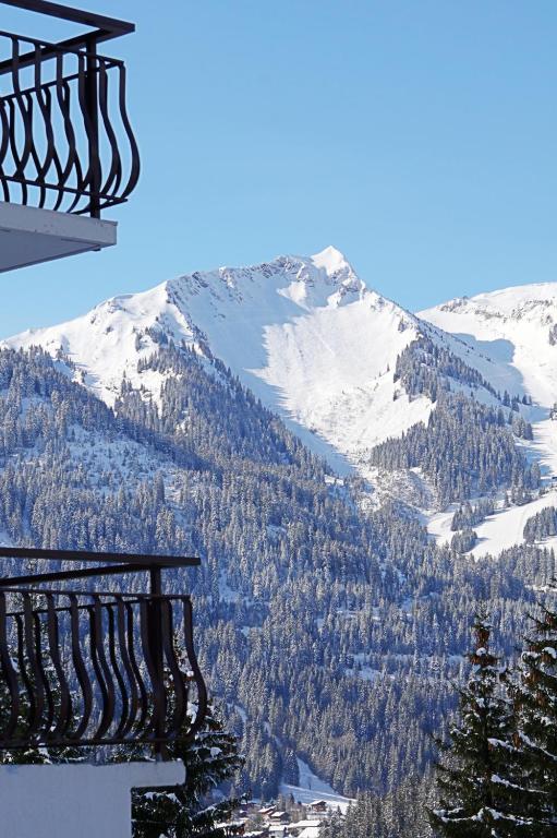 Hotel Le Roitelet
